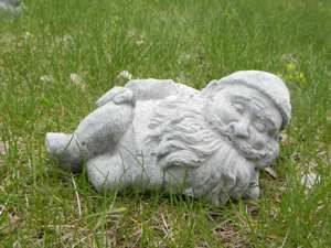 FG-126 $5 Lying Gnome 3 1/2